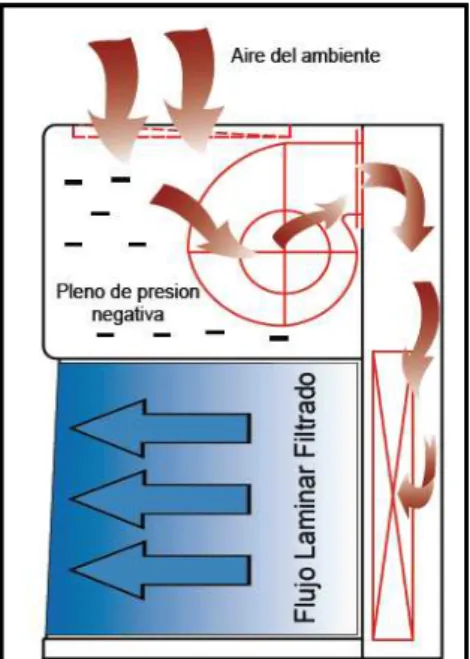 Fig. 1.3.3 -1.- Perfil de Flujo de la Cámara de flujo laminar horizontal” 4
