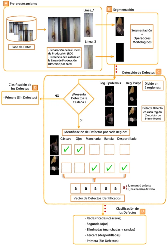 Figura 4.3: Flujo-grama del algoritmo propuesto implementado al Mejoramiento del Proceso de Detec- Detec-ción de Defectos visuales en Castañas (Fuente: ElaboraDetec-ción Propia)
