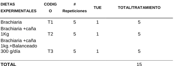 Cuadro 2. ESQUEMA DEL EXPERIMENTO. 