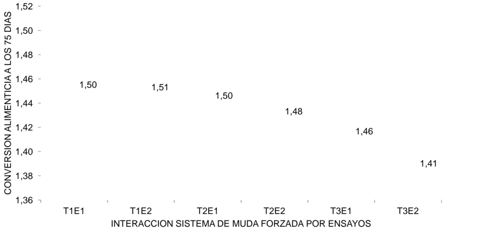 Gráfico 11.     Comportamiento de la conversión alimenticia a los 75 días de las codornices aplicándose diferentes sistemas de  manejo  para  la  muda  forzada 