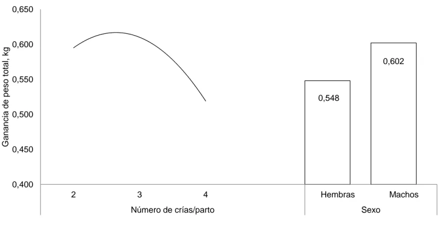 Gráfico 5.  Comportamiento de las ganancias de peso totales (kg), hasta los 105 días de edad, de cuyes de ambos sexos por  efecto del tamaño de la camada al nacimiento