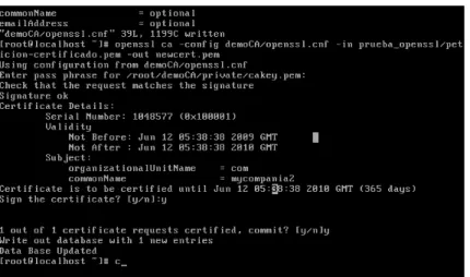 Gráfico III.22: Creación de un certificado con la herramienta ca de OpenSSL 