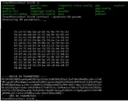 Gráfico III.25: Test de un servidor con OpenSSL 