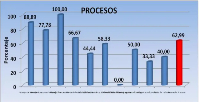 Figura 6 Ámbito Procesos 