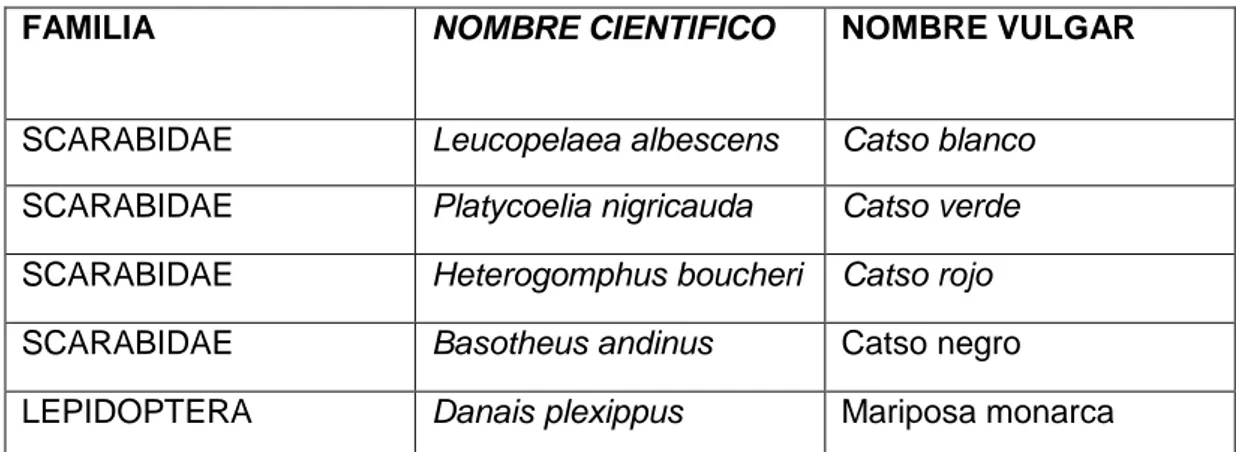 Cuadro 8 Lista de invertebrados 