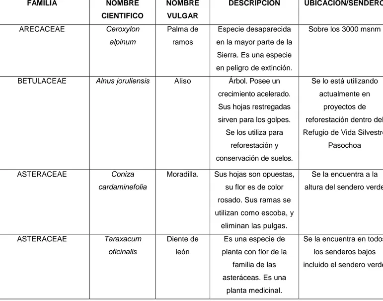 Cuadro 9 Lista de flora 