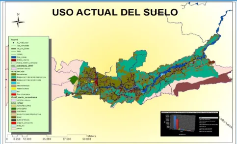 Gráfico N°5. Uso actual del suelo en el Cantón Tena. 