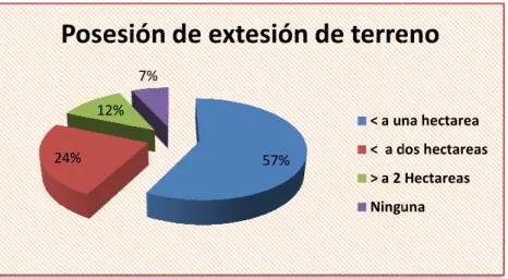 Gráfico 2-Posesión de e