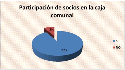 Gráfico 5-Participación