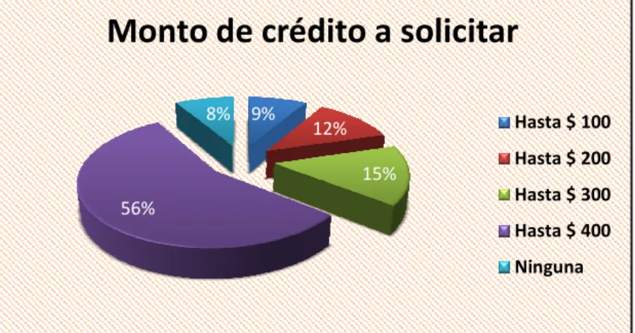 Gráfico 6-Monto de crédito a solicitar