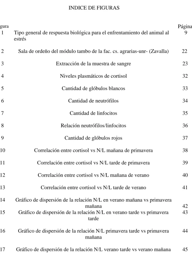 Figura  Página 