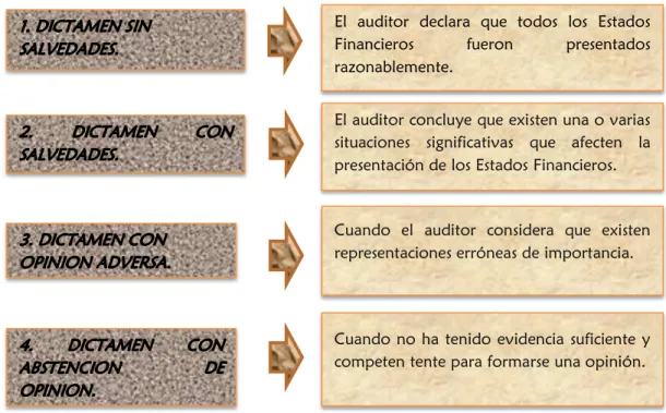CUADRO N° 3 Tipos de Opinión