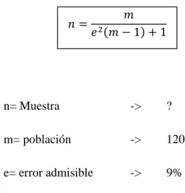 Tabla 5. Estratos de la Población 