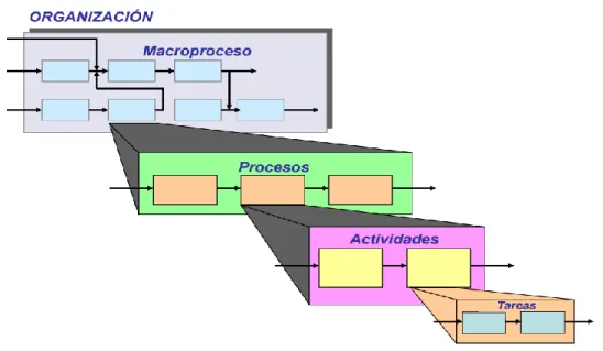 Gráfico 7: Jerarquía de los Procesos. 