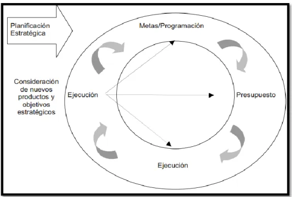 Figura 4: Ciclo de control de gestión en el Sector Público 