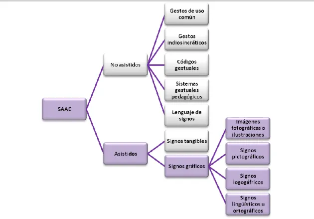 Gráfico 2.3. Elaboración propia. Clasificación de SAAC 