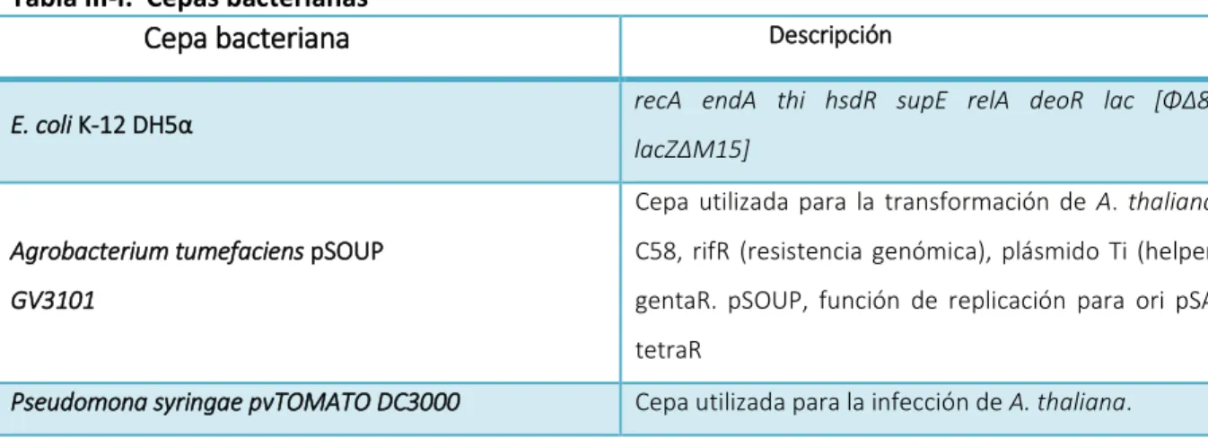 Tabla III-I.  Cepas bacterianas