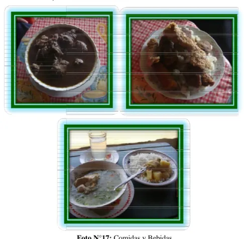 Foto N°17: Comidas y Bebidas 