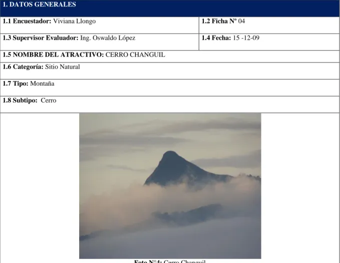 Foto N°4: Cerro Changuil  