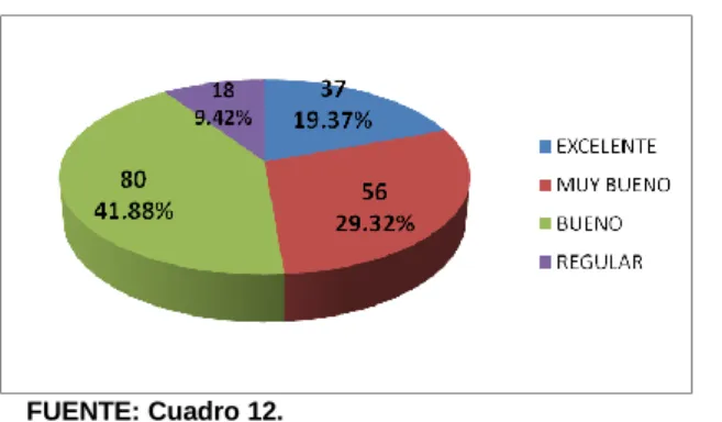 GRÁFICO Nº 10 