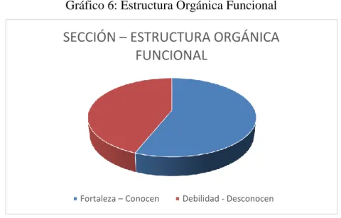 Gráfico 6: Estructura Orgánica Funcional 