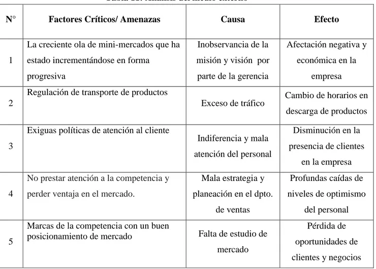 Tabla 11: Análisis del medio externo 