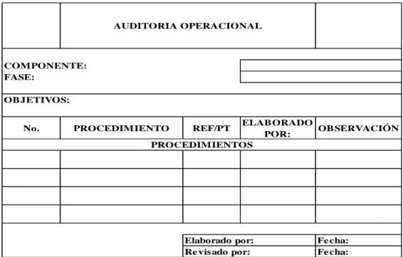 CUADRO 9: FORMATO PROGRAMA DE AUDITORIA 
