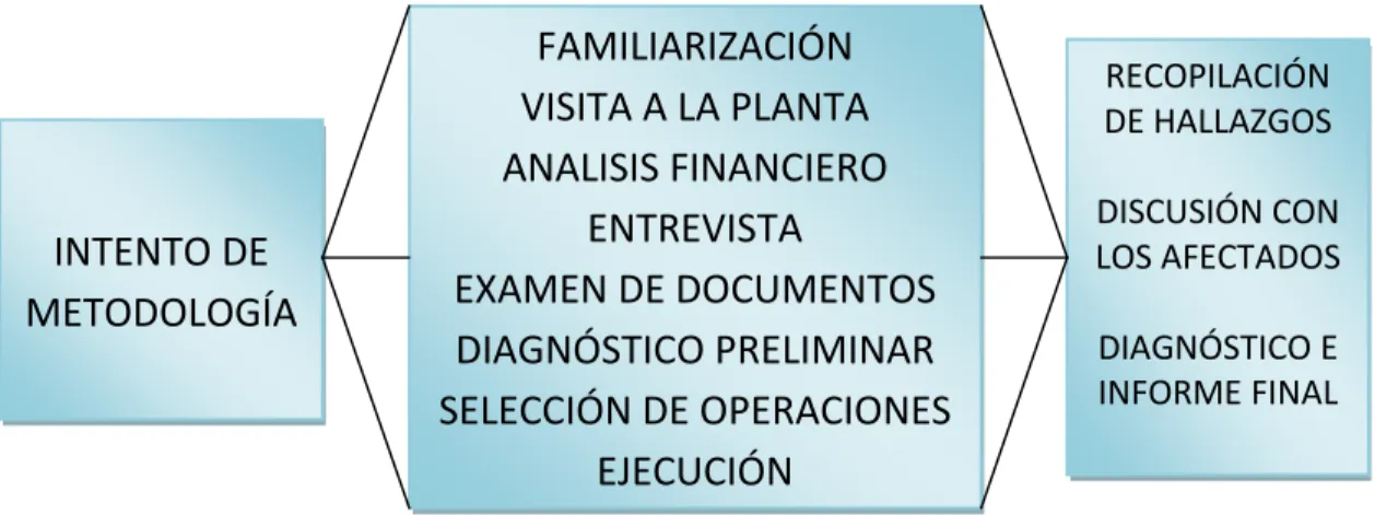 FIGURA No. 8 