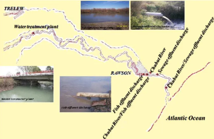 Figure 1. Location of sampling stations. 