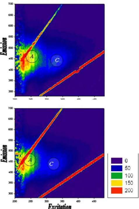 Fig. 2d.- EEM  Fish effluent discharge.  