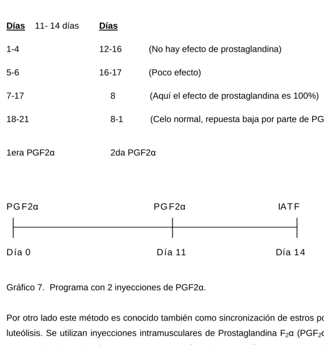 Gráfico 7.  Programa con 2 inyecciones de PGF2α. 