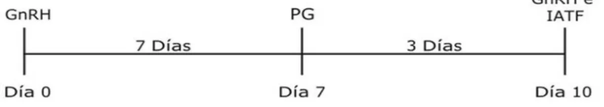 Gráfico 10.  Sistema Cosynch. 