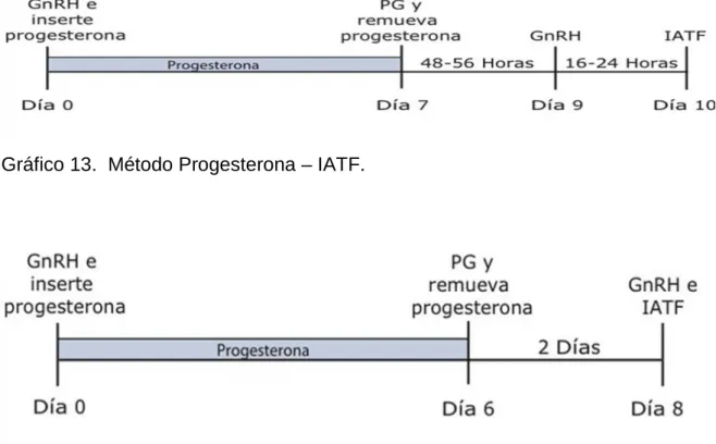 Gráfico 12.  Método Presynch. 