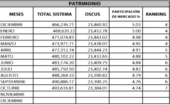 Cuadro 7 Patrimonio 