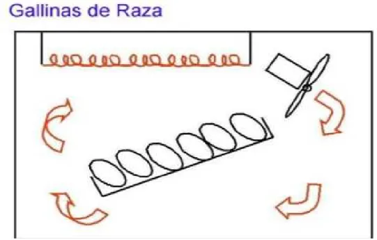 Figura 4. Incubadora de aire forzado. 