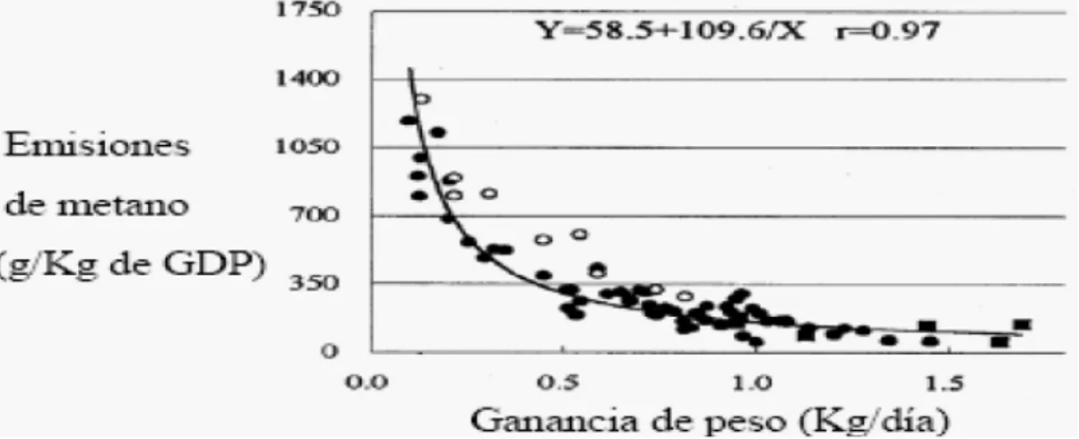 Gráfico  1.     Relación entre  la  ganancia de peso  y  la producción de metano  para  Bos taurus (círculos cerrados) y Bos indicus (círculos abiertos)