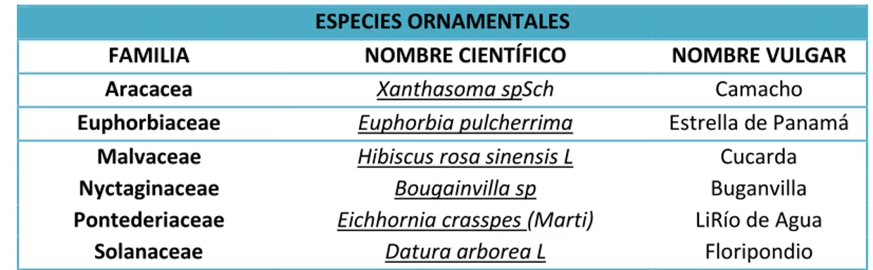 Cuadro Nº 7. Flora del Cantón. Especies Ornamentales. 