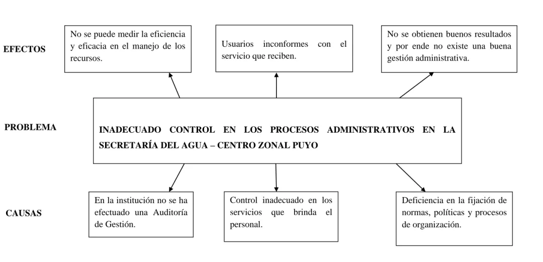 Gráfico 1 Árbol de Problemas 