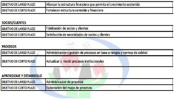 Tabla 4: OBJETIVOS DE LA COOPERATIVA SAC. PELILEO LTDA 