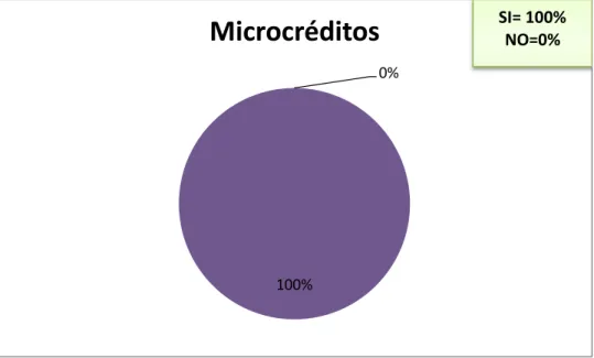 Figura 7: Microcréditos  Fuente: Tabla 3 