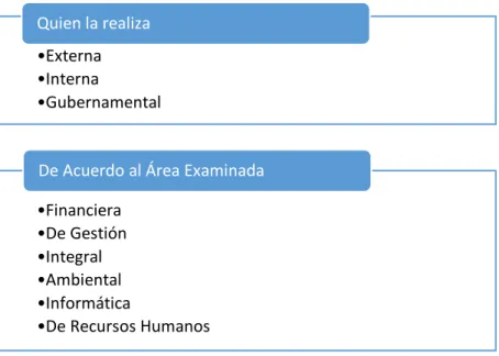 GRÁFICO Nº 2 CLASIFICACIÓN DE LA AUDITORÍA