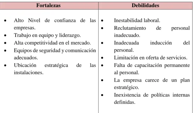 Tabla N° 6: Análisis Interno 