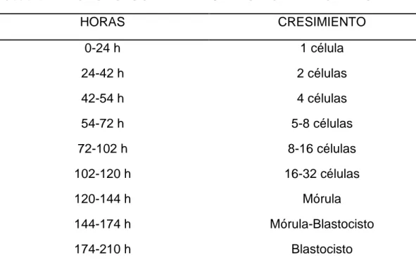 Cuadro 2.     CRONOLOGÍA DEL DESARROLLO EMBRIONARIO.  HORAS  CRESIMIENTO  0-24 h  1 célula  24-42 h  2 células  42-54 h  4 células  54-72 h  5-8 células  72-102 h  8-16 células  102-120 h  16-32 células  120-144 h  Mórula  144-174 h  Mórula-Blastocisto  17
