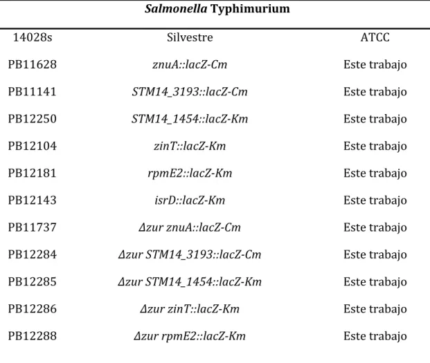 Tabla 1. Cepas bacterianas 