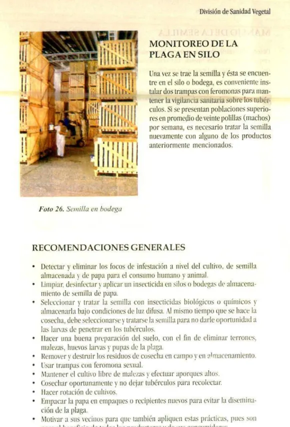 foto 26. Semilla en hode',