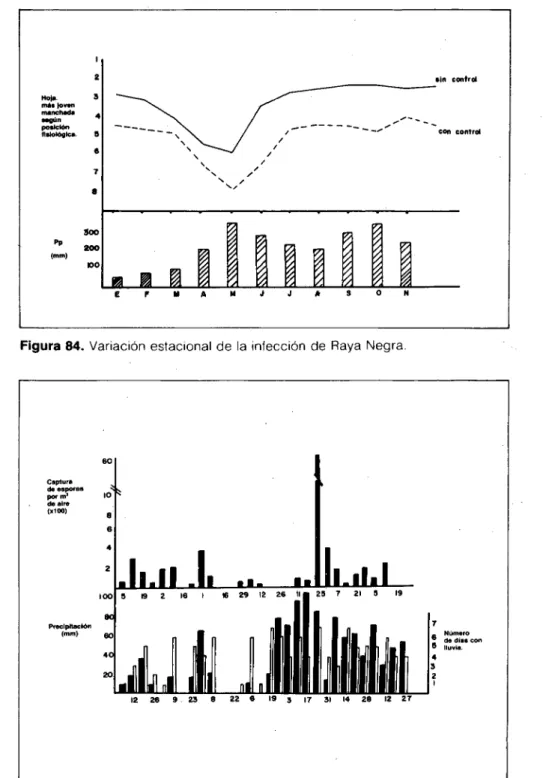 Figura 84. Variación estacional de la infección de Raya Negra.