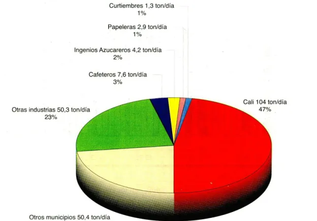 FIGURA 5. Total carga orgánica (DBO) vertida en Ia cuenca del rio Cauca. Año 2002 