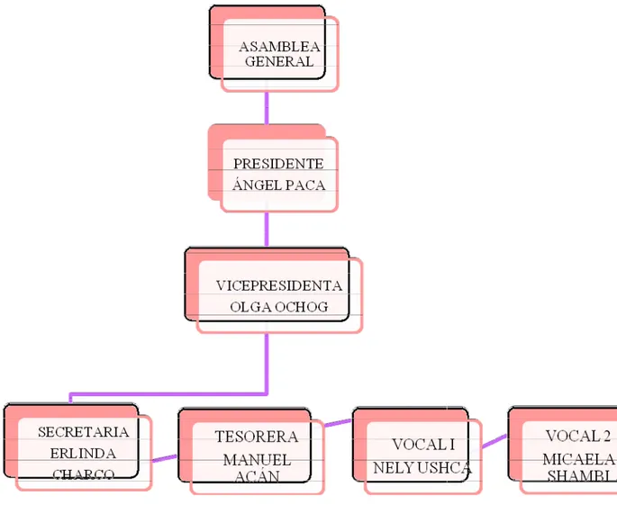 Figura N° 1: Estructura administrativa y política del grupo de Agrovida.