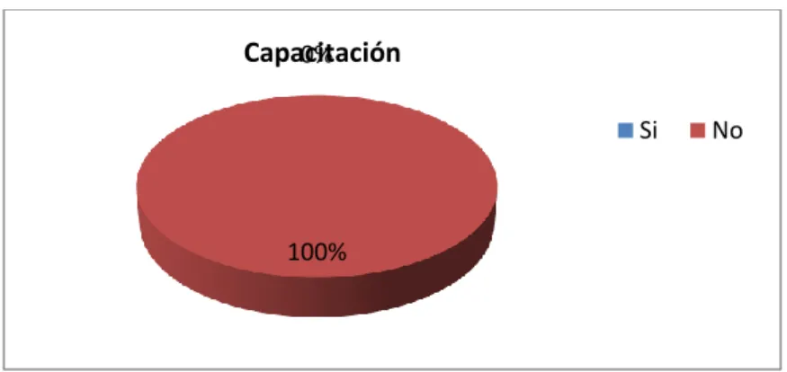 Gráfico N° 2. 