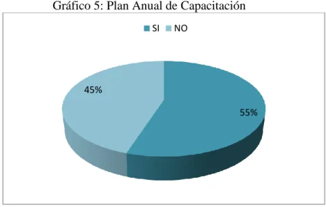 Gráfico 5: Plan Anual de Capacitación 